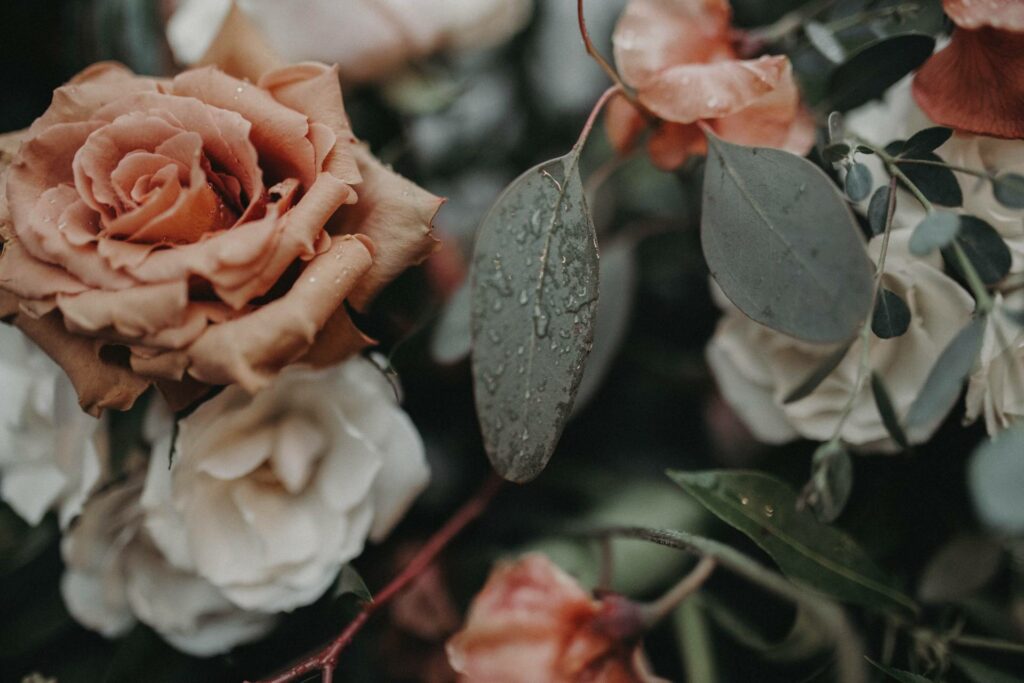 Fanny.P Photographie photographe naissance et lifestyle pour couple famille et grossesse en Poitou-Charentes entre Angoulême Poitiers Limoges et La Rochelle