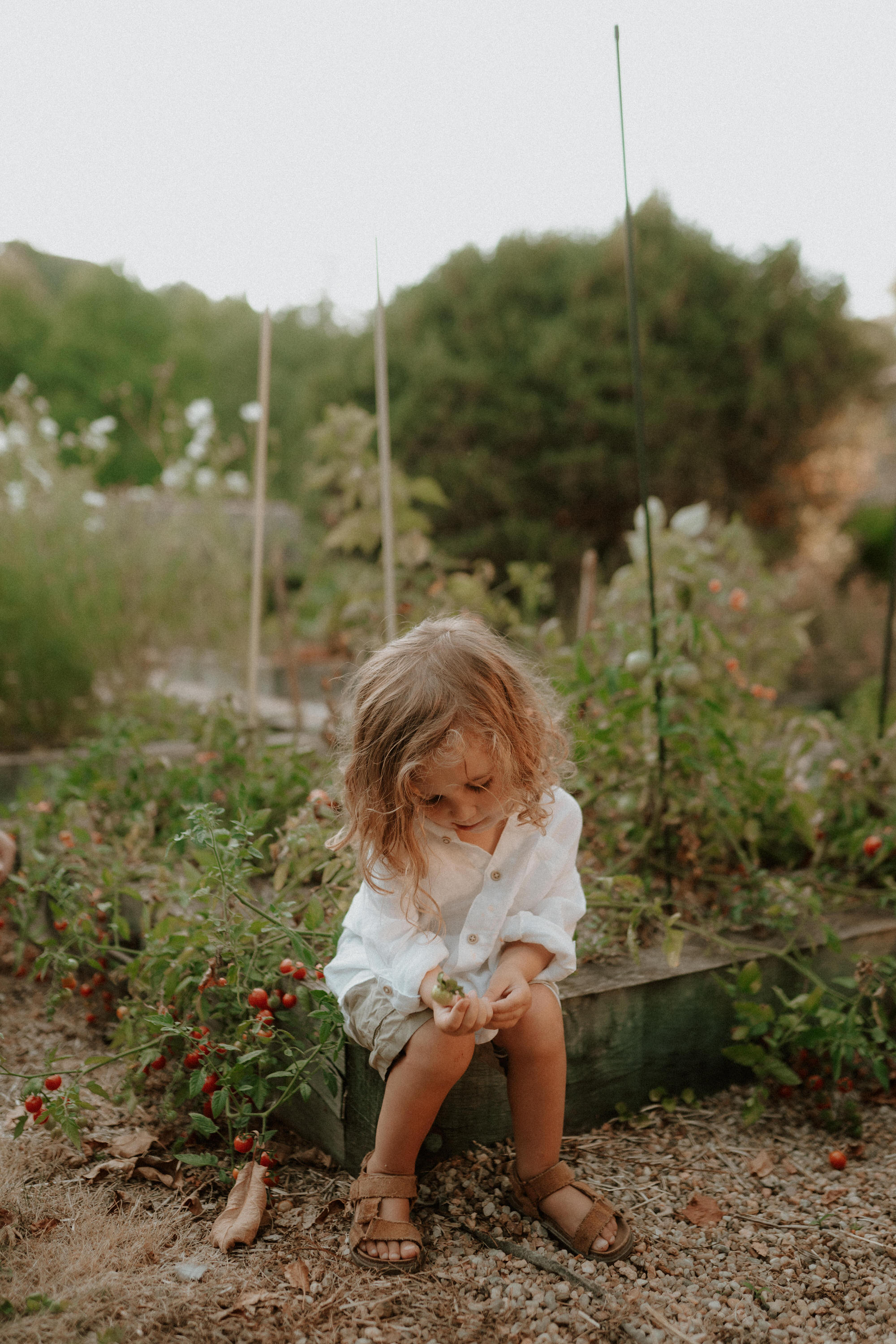 Photographe photo famille à Niort dans les Deux-Sèvres