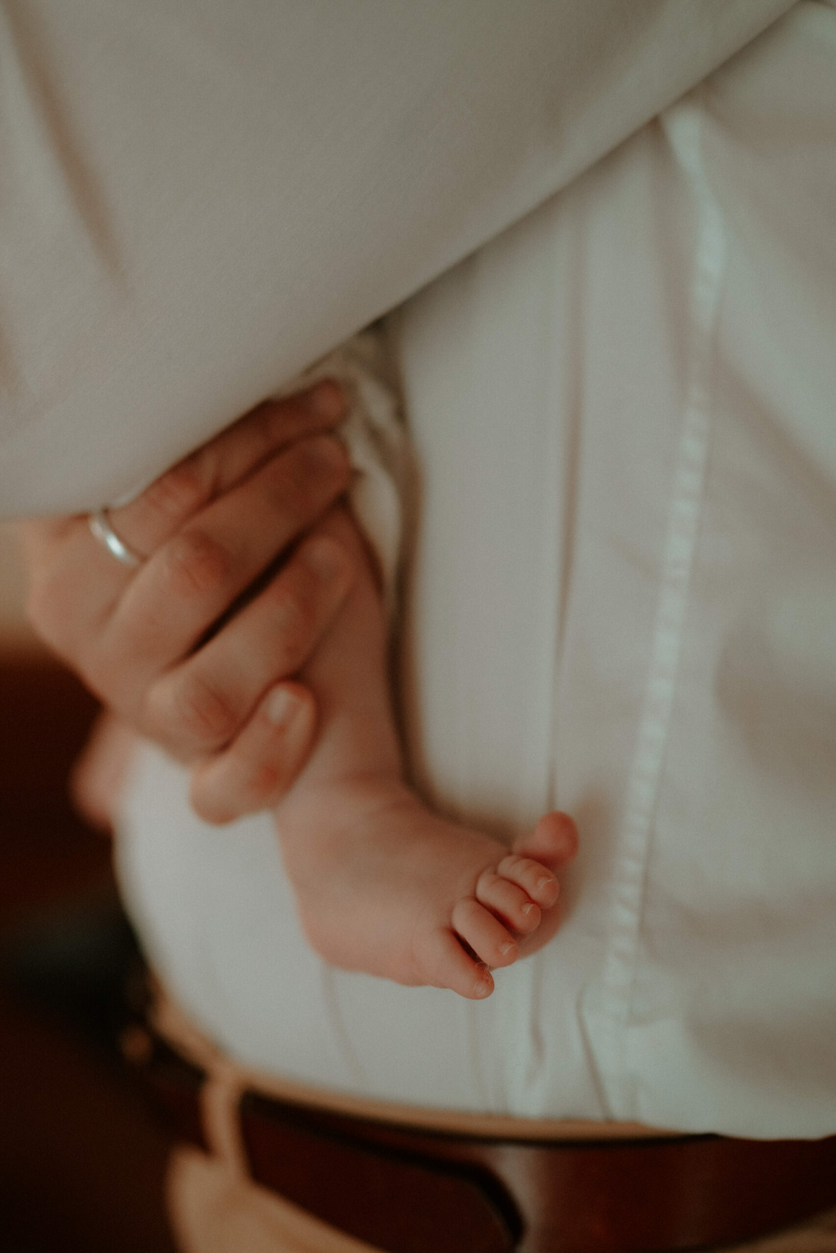 photographe bébé dans les Deux-Sèvres à Niort